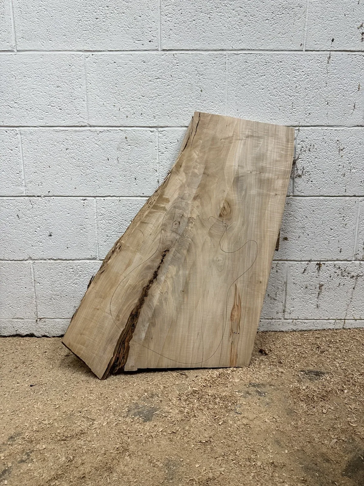 Guitar body outline traced on a live-edge spalted maple slab